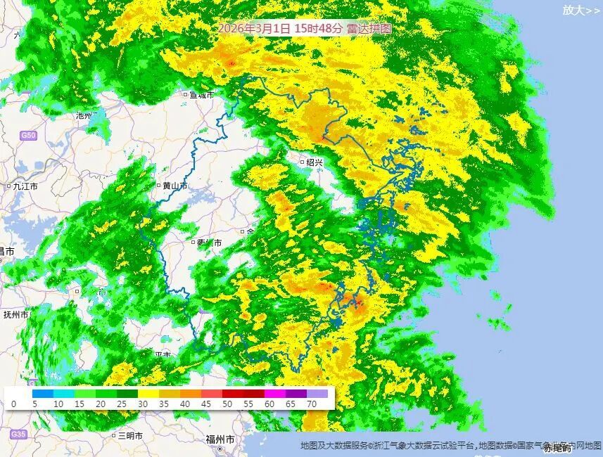 今天上午开始！9级大风、雾天，浙江人早点出门
