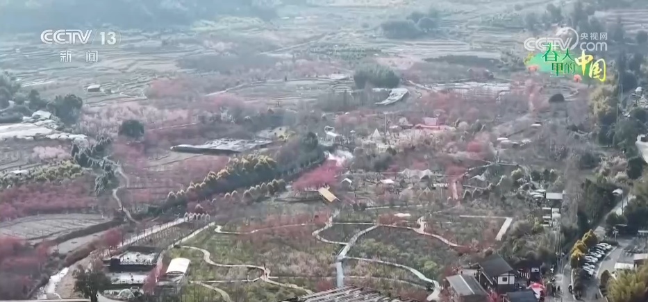 去踏青、共赏花,春意正浓!““春日经济”蓬勃绽放 去踏青、共赏花,春意正浓!““春日经济”蓬勃绽放