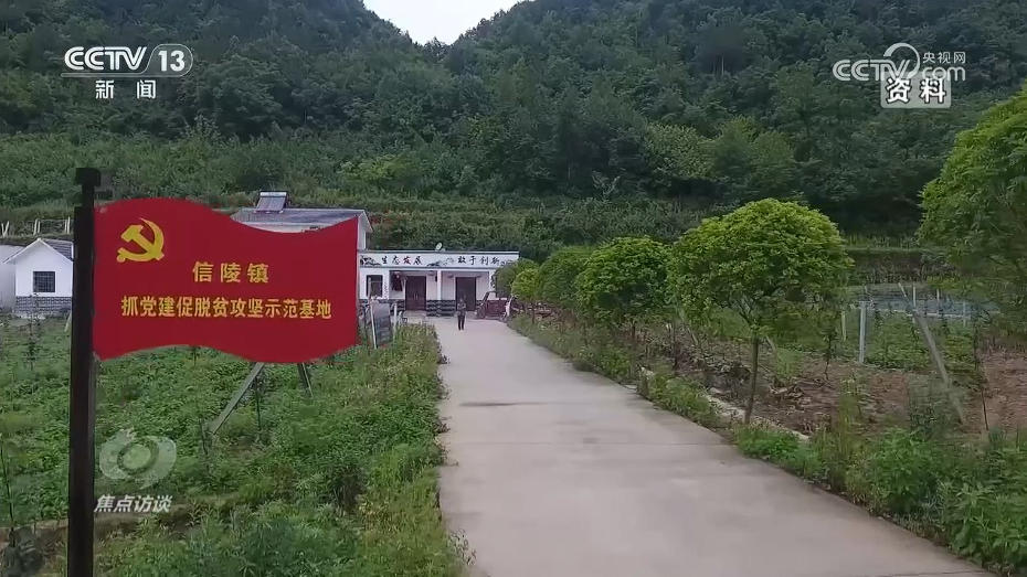 焦点访谈丨产业兴、乡村美、百姓富 “穷窝窝”如何走上振兴致富路? 焦点访谈丨产业兴、乡村美、百姓富 “穷窝窝”如何走上振兴致富路?