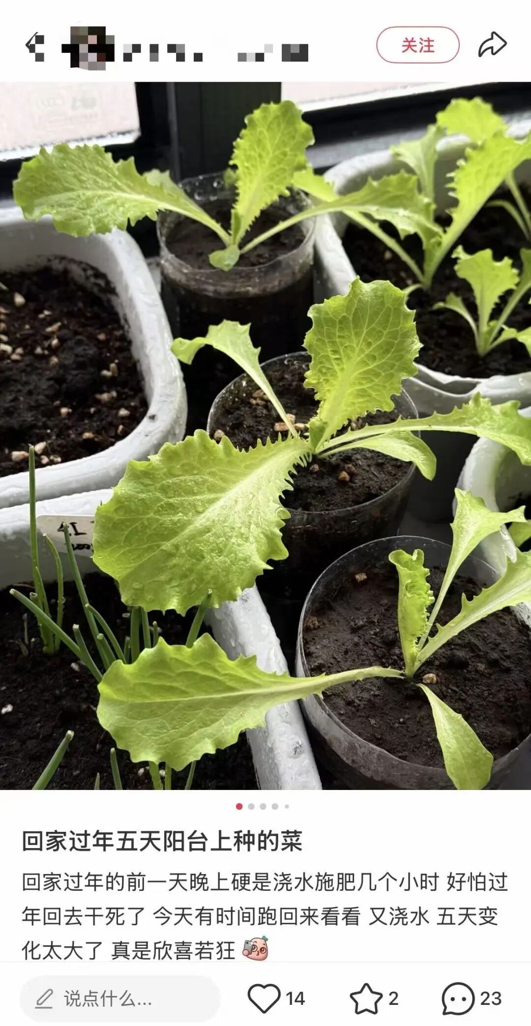 老辈子种菜“没轻没重”的……妈妈：“去摘一片菜叶来晚上炒着吃