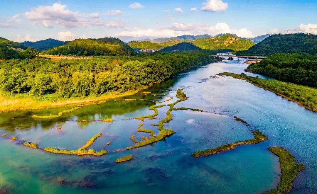 为期4个月,浙江这些流域全面禁渔! 为期4个月,浙江这些流域全面禁渔!