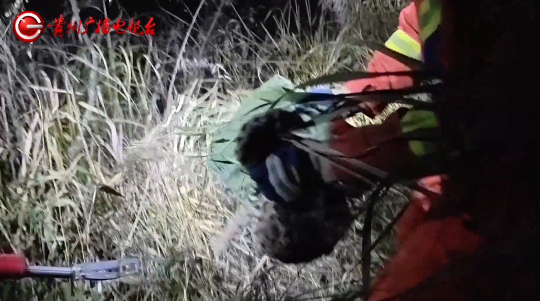 贵州一地灌木丛中发现国家二级保护动物！呲着牙，眼神警惕，消防林业联合救助