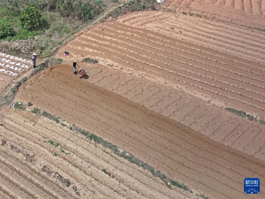 人勤春来早 农忙正当时 人勤春来早 农忙正当时