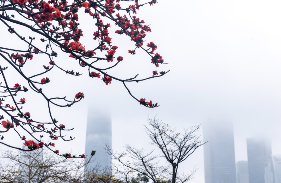 冷空气今天到!广东还有大雨暴雨 冷空气今天到!广东还有大雨暴雨