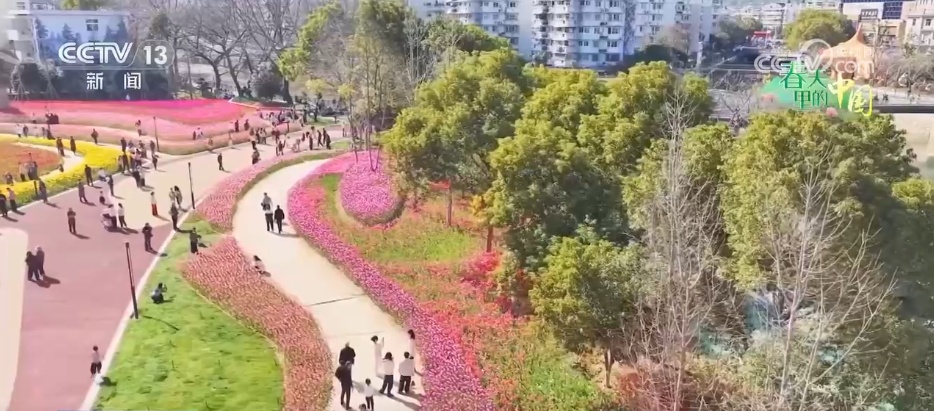 去踏青、共赏花,春意正浓!““春日经济”蓬勃绽放 去踏青、共赏花,春意正浓!““春日经济”蓬勃绽放