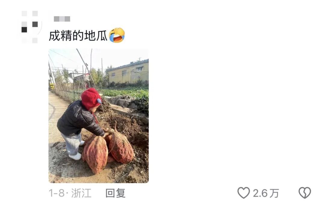 老辈子种菜“没轻没重”的……妈妈：“去摘一片菜叶来晚上炒着吃