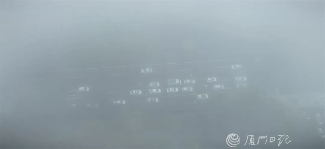 大雾预警！冷空气马上抵达！福建多地发布停航通知→