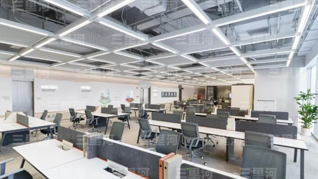 一人公司火了 一人公司火了