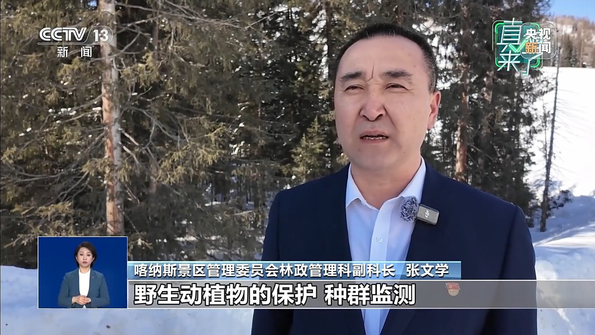 真相来了丨网传“新疆喀纳斯出现棕熊”?假的!专家辟谣 真相来了丨网传“新疆喀纳斯出现棕熊”?假的!专家辟谣