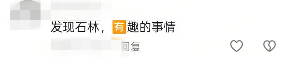 泰安一地现石林奇观场面震撼，下面有溶洞或黄金？当地：或为普通灰岩，可利用价值不大