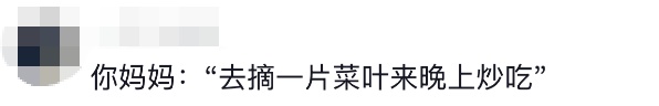 老辈子种菜“没轻没重”的……妈妈：“去摘一片菜叶来晚上炒着吃