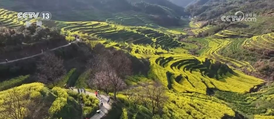 去踏青、共赏花,春意正浓!““春日经济”蓬勃绽放 去踏青、共赏花,春意正浓!““春日经济”蓬勃绽放