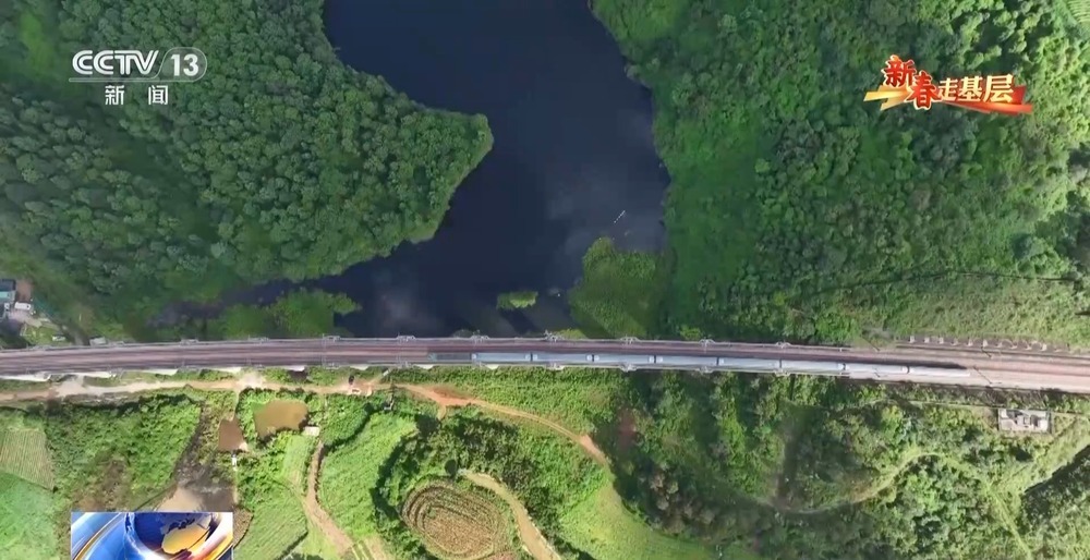 新春走基层丨千里花香递温情 特别的爱给特别的你 新春走基层丨千里花香递温情 特别的爱给特别的你