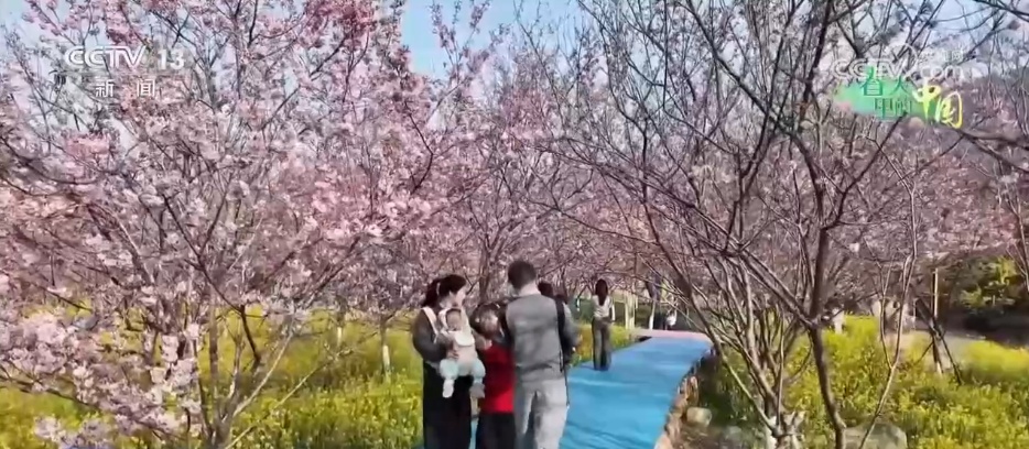 去踏青、共赏花,春意正浓!““春日经济”蓬勃绽放 去踏青、共赏花,春意正浓!““春日经济”蓬勃绽放