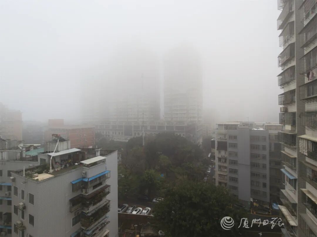 大雾预警！冷空气马上抵达！福建多地发布停航通知→