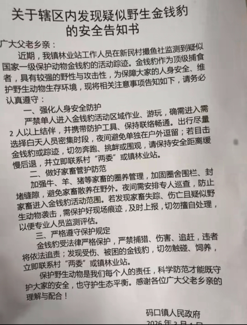 云南一地发现疑似金钱豹踪迹，镇政府：发出安全告知书，已向县里汇报，还在进一步核实