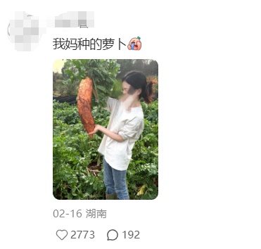 老辈子种菜“没轻没重”的……妈妈：“去摘一片菜叶来晚上炒着吃
