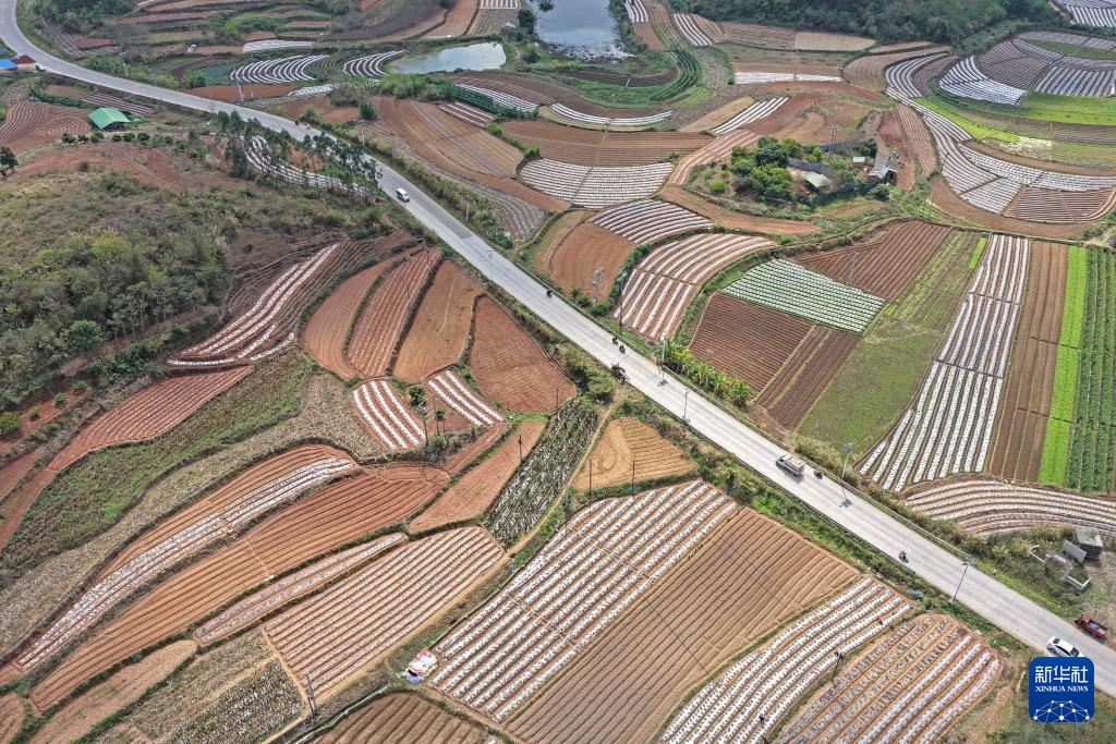 人勤春来早 农忙正当时 人勤春来早 农忙正当时