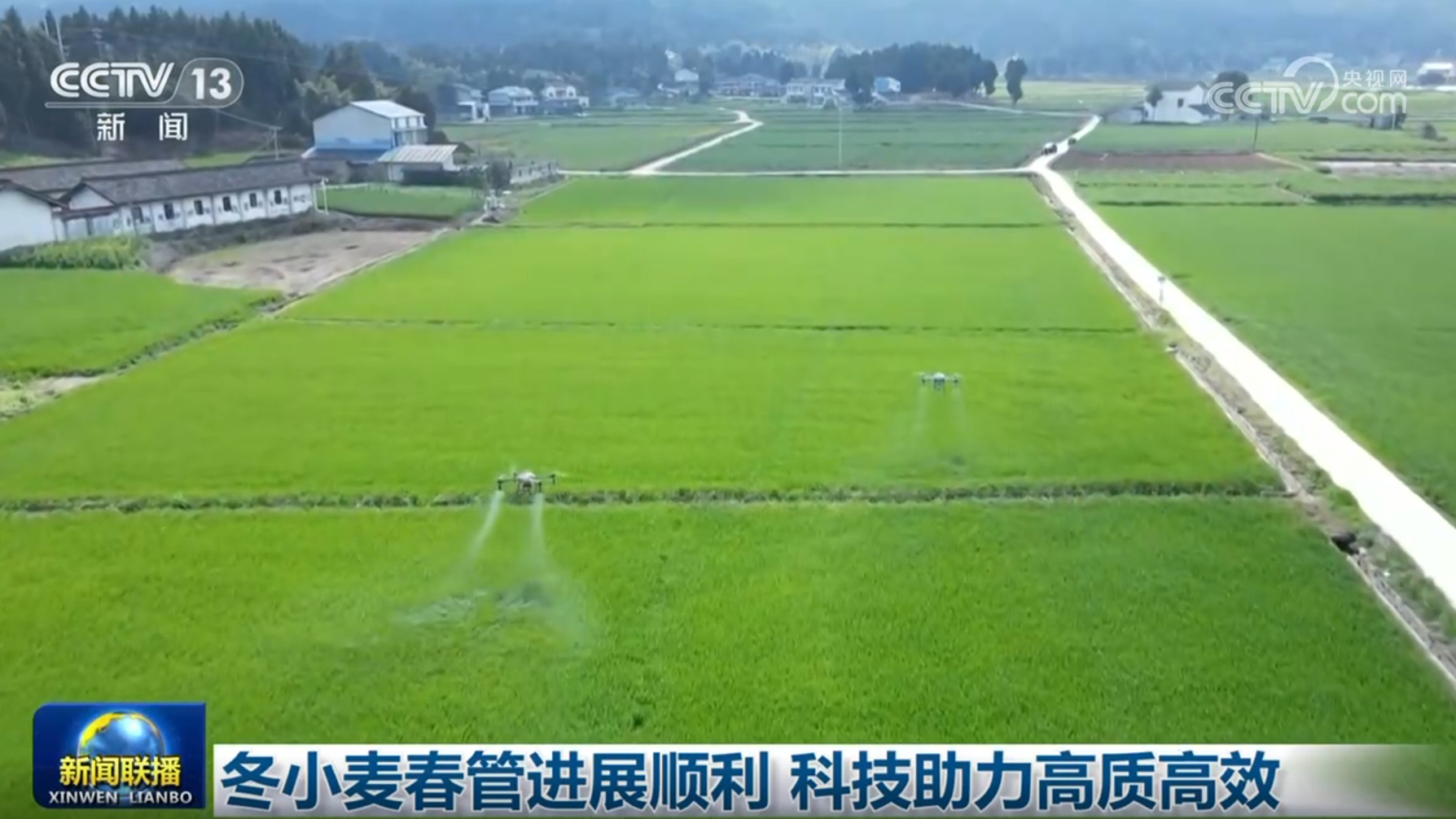 冬小麦春管进展顺利 科技助力高质高效