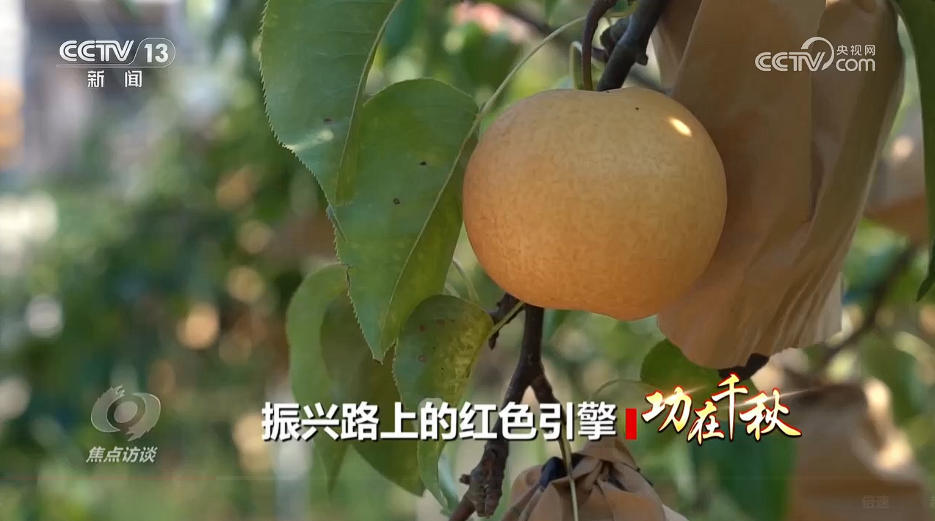 焦点访谈丨产业兴、乡村美、百姓富 “穷窝窝”如何走上振兴致富路? 焦点访谈丨产业兴、乡村美、百姓富 “穷窝窝”如何走上振兴致富路?