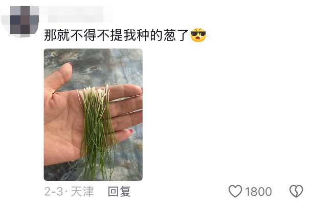 老辈子种菜“没轻没重”的……妈妈：“去摘一片菜叶来晚上炒着吃