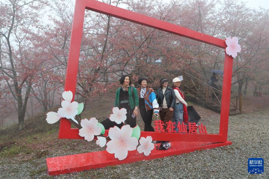 樱花绽放激活“春日经济” 樱花绽放激活“春日经济”