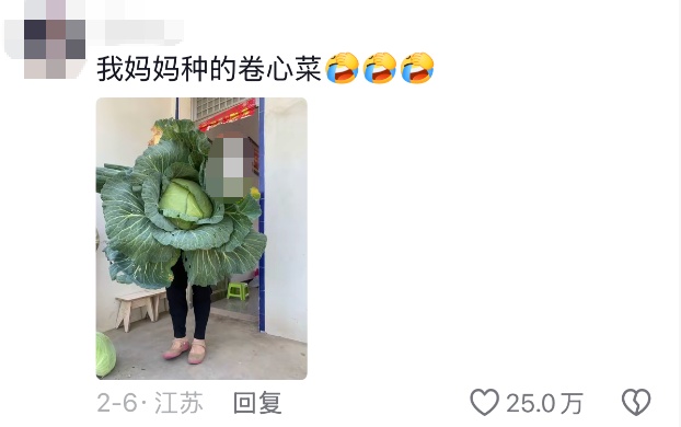 老辈子种菜“没轻没重”的……妈妈：“去摘一片菜叶来晚上炒着吃