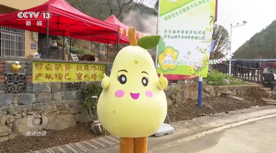 焦点访谈丨产业兴、乡村美、百姓富 “穷窝窝”如何走上振兴致富路? 焦点访谈丨产业兴、乡村美、百姓富 “穷窝窝”如何走上振兴致富路?