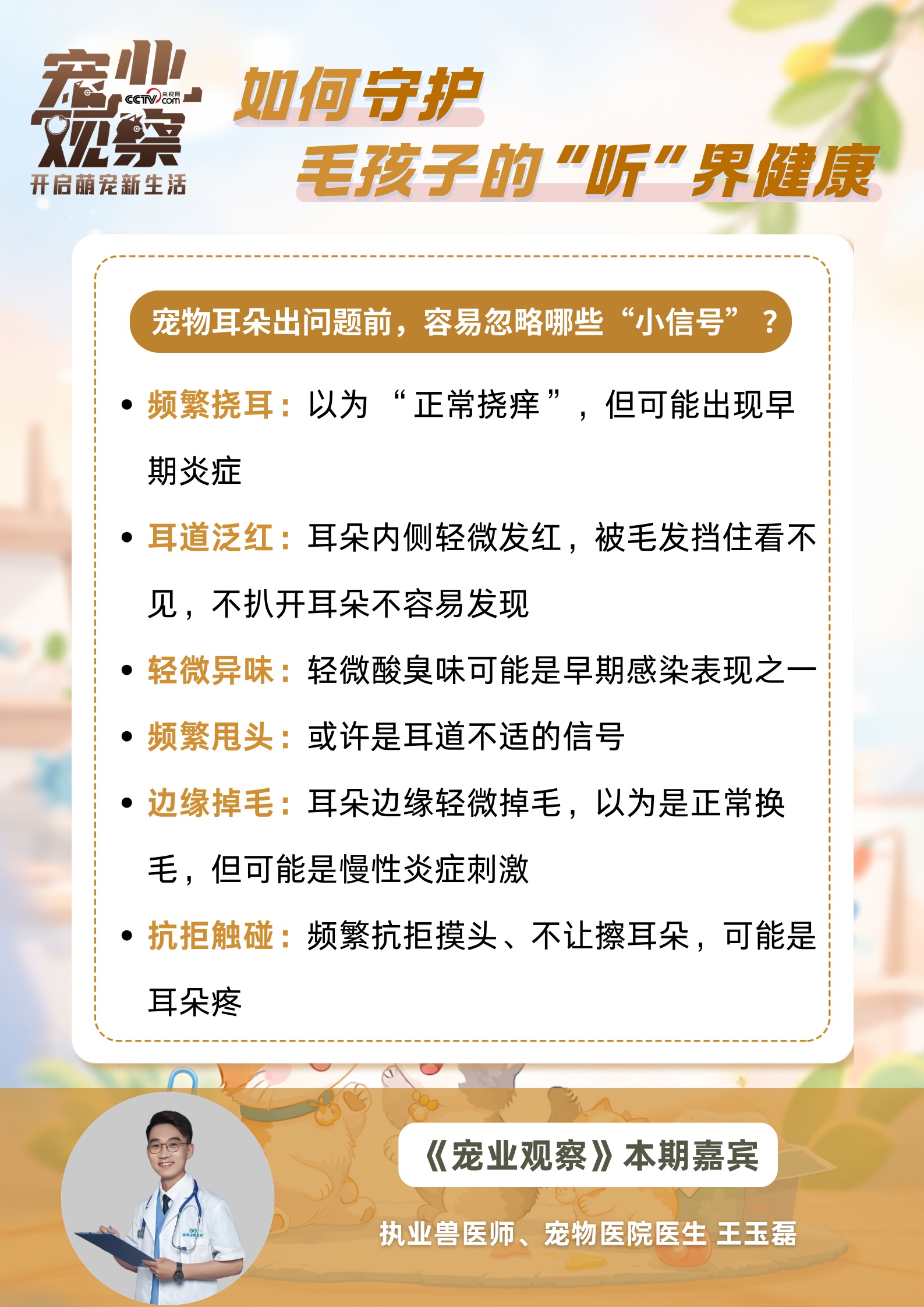 图说|第27个全国爱耳日:如何守护毛孩子的 “听” 界健康 图说|第27个全国爱耳日:如何守护毛孩子的 “听” 界健康