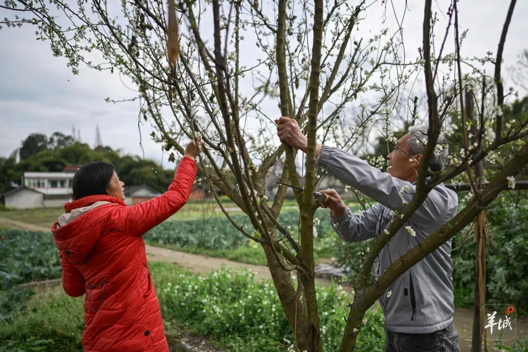 “我们去广东干嘛?赚钱!”近九成务工者返粤!这趟返岗专列奔赴春天 “我们去广东干嘛?赚钱!”近九成务工者返粤!这趟返岗专列奔赴春天