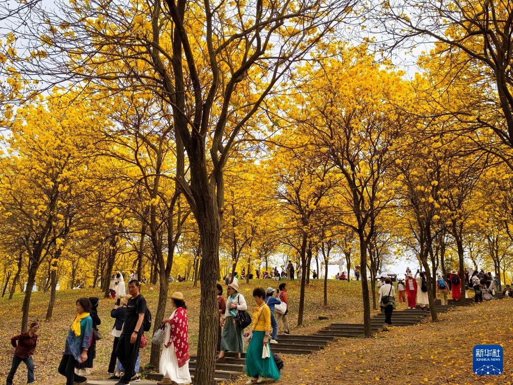 花开万里 共赴春光