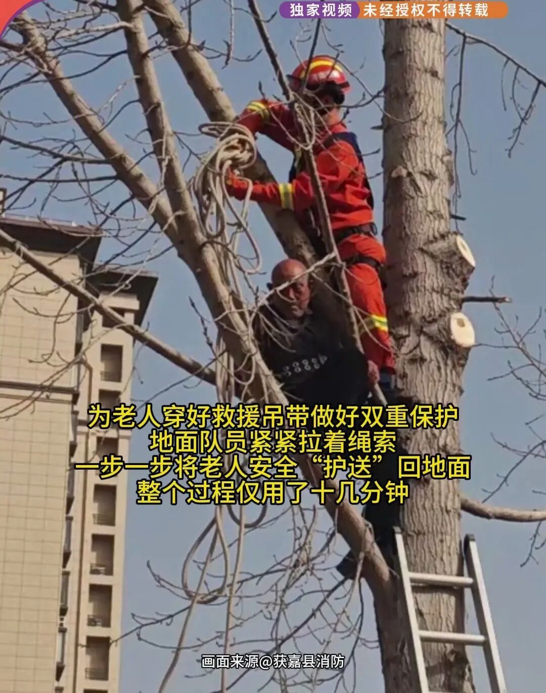 河南新乡87岁大爷挂树上了!救援时一句话让消防哭笑不得 河南新乡87岁大爷挂树上了!救援时一句话让消防哭笑不得
