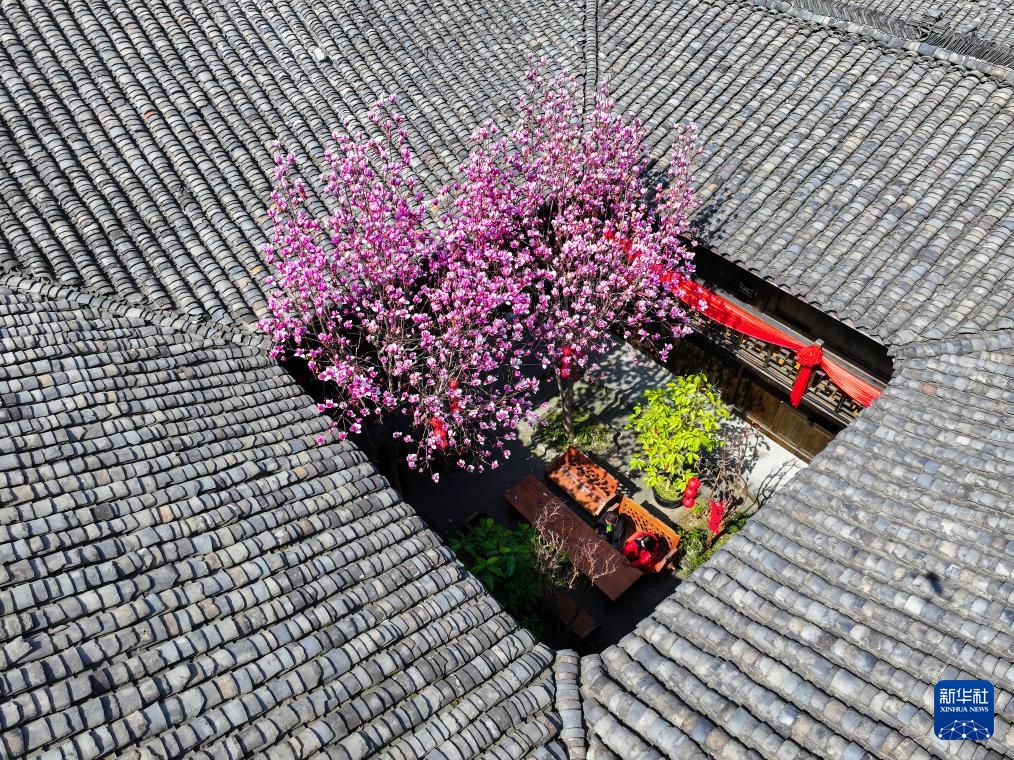 花开万里 共赴春光