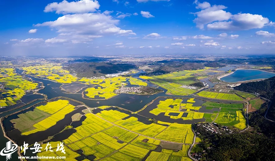 冬天结束了！安徽开启升温模式，最高21℃