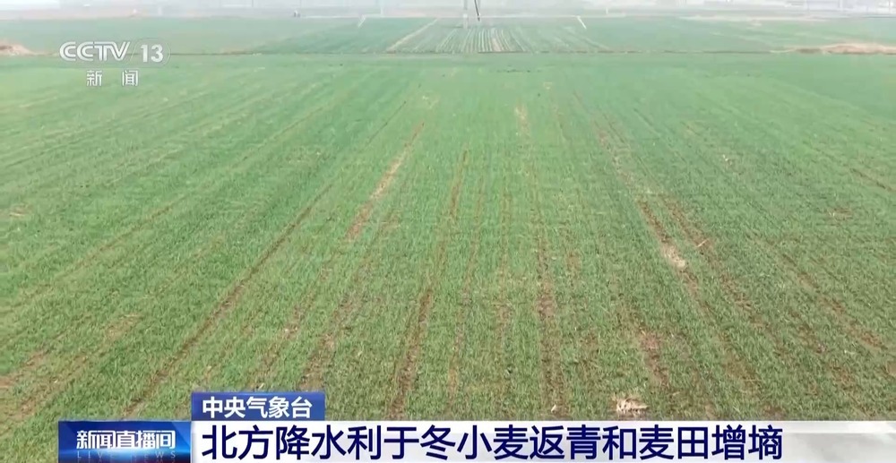 中东部雨雪缩减 北方降水利于冬小麦返青和麦田增墒