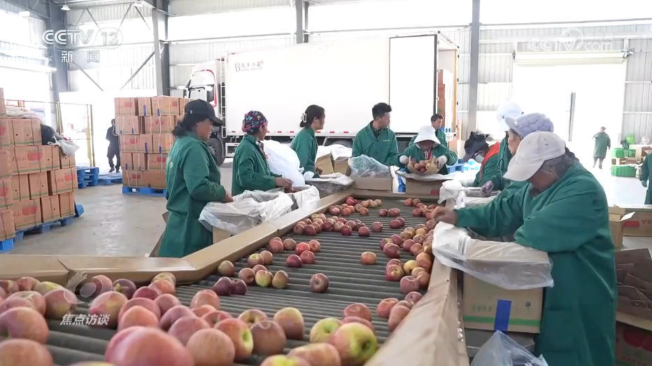 小苹果串起东西协作情 “致富果”让百姓过上好日子