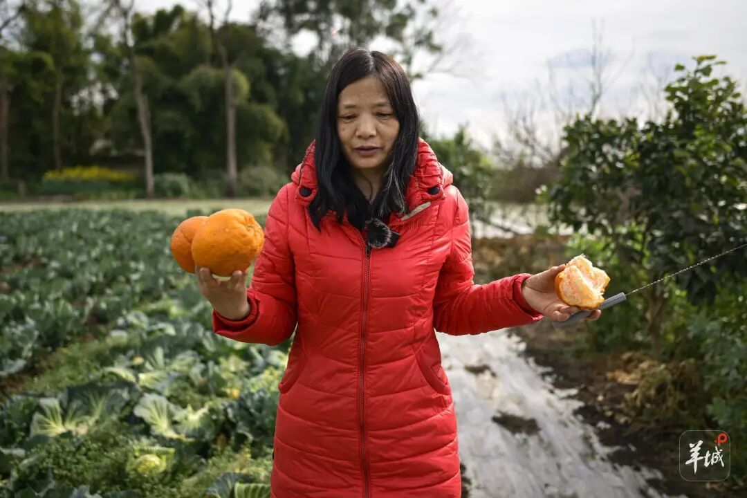 “我们去广东干嘛?赚钱!”近九成务工者返粤!这趟返岗专列奔赴春天 “我们去广东干嘛?赚钱!”近九成务工者返粤!这趟返岗专列奔赴春天
