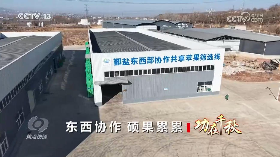 小苹果串起东西协作情 “致富果”让百姓过上好日子