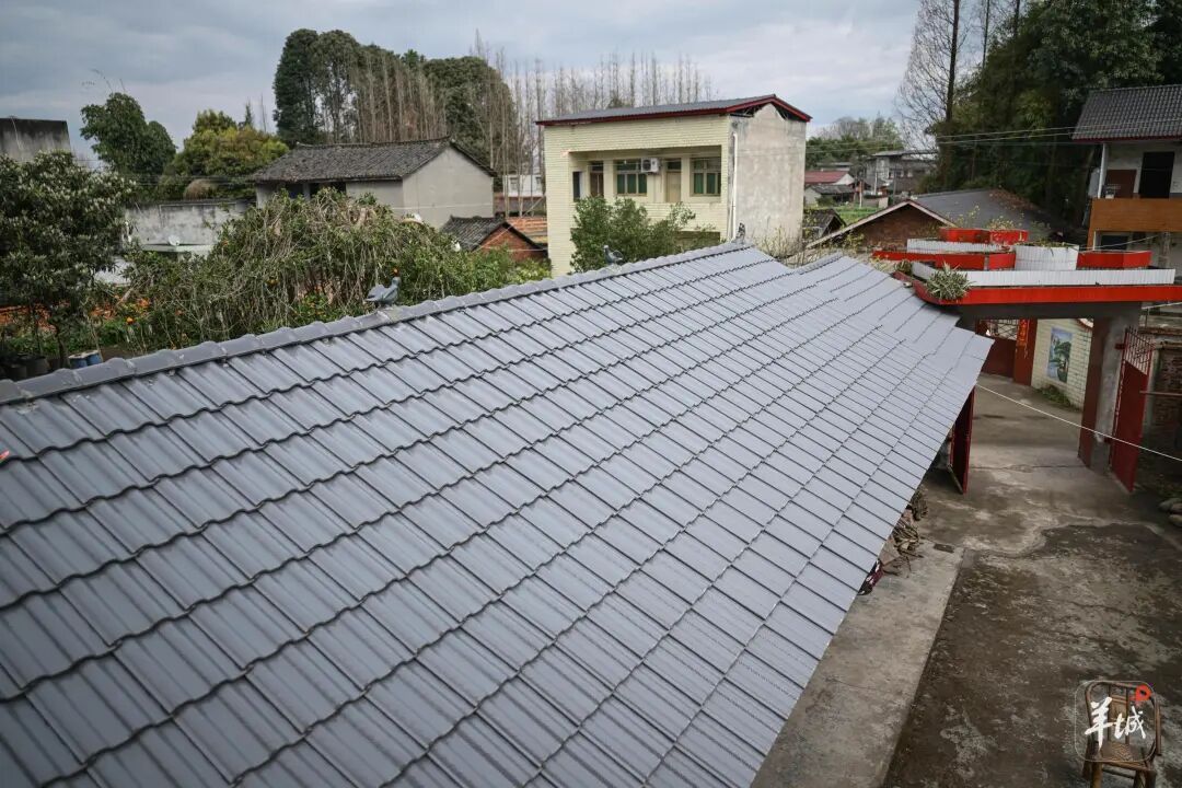 “我们去广东干嘛?赚钱!”近九成务工者返粤!这趟返岗专列奔赴春天 “我们去广东干嘛?赚钱!”近九成务工者返粤!这趟返岗专列奔赴春天