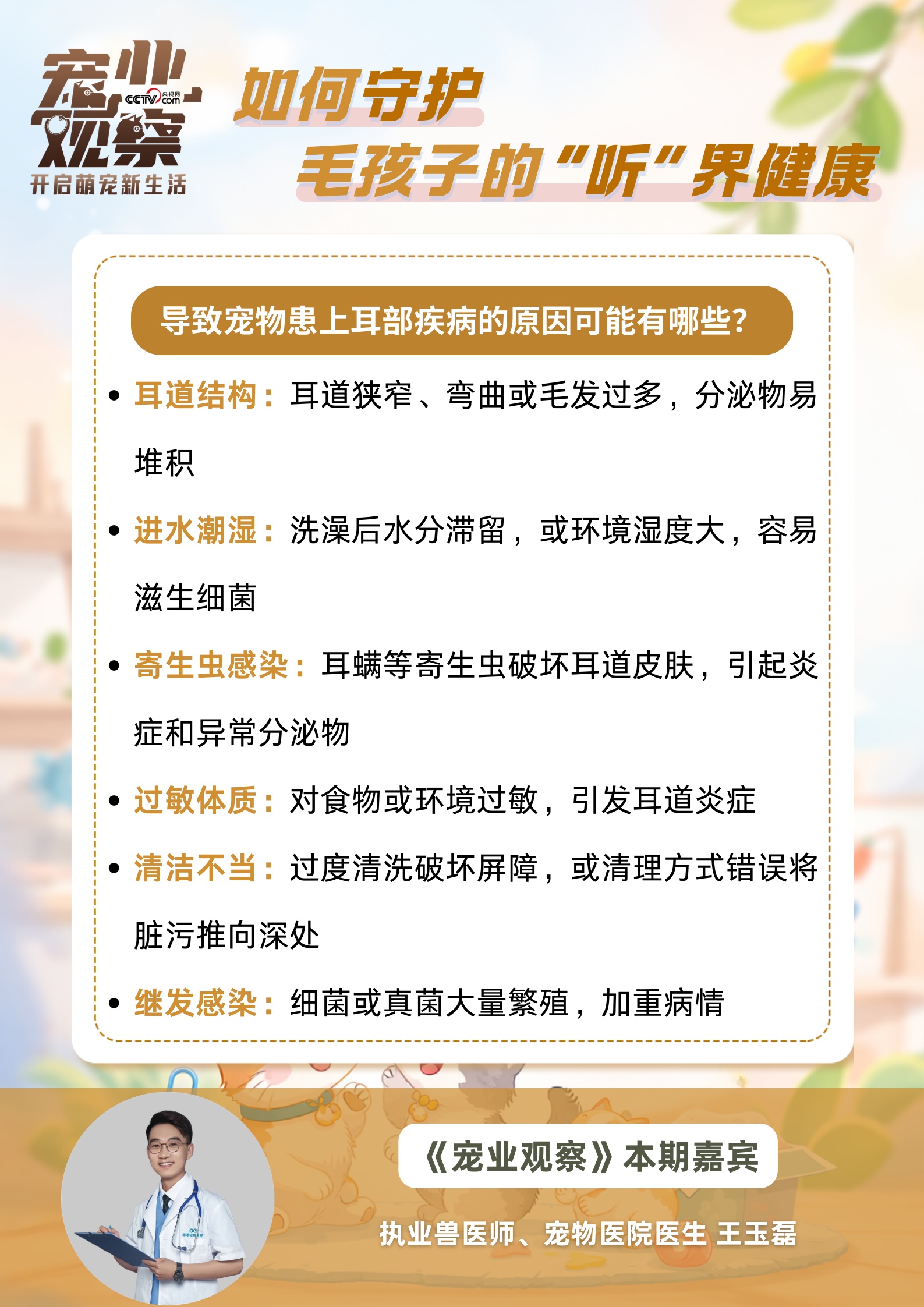 图说|第27个全国爱耳日:如何守护毛孩子的 “听” 界健康 图说|第27个全国爱耳日:如何守护毛孩子的 “听” 界健康