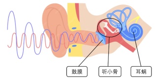 全国爱耳日 | 耳机无罪，遵循三个“60”法则，放心听世界