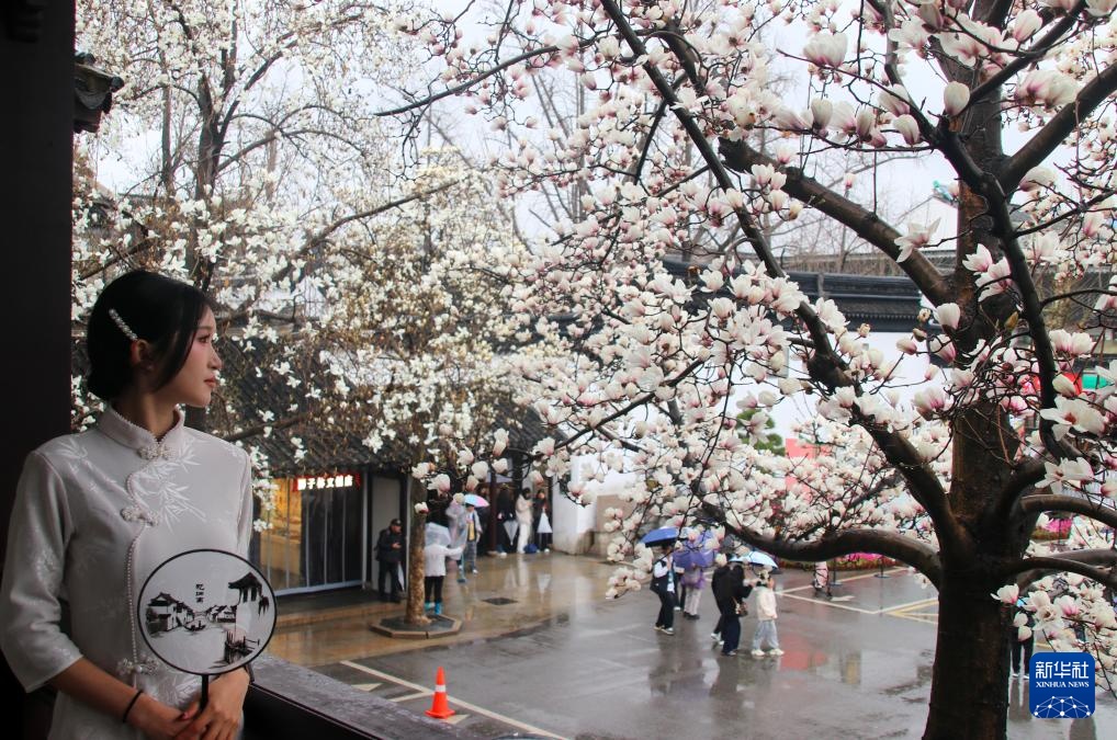 花开万里 共赴春光