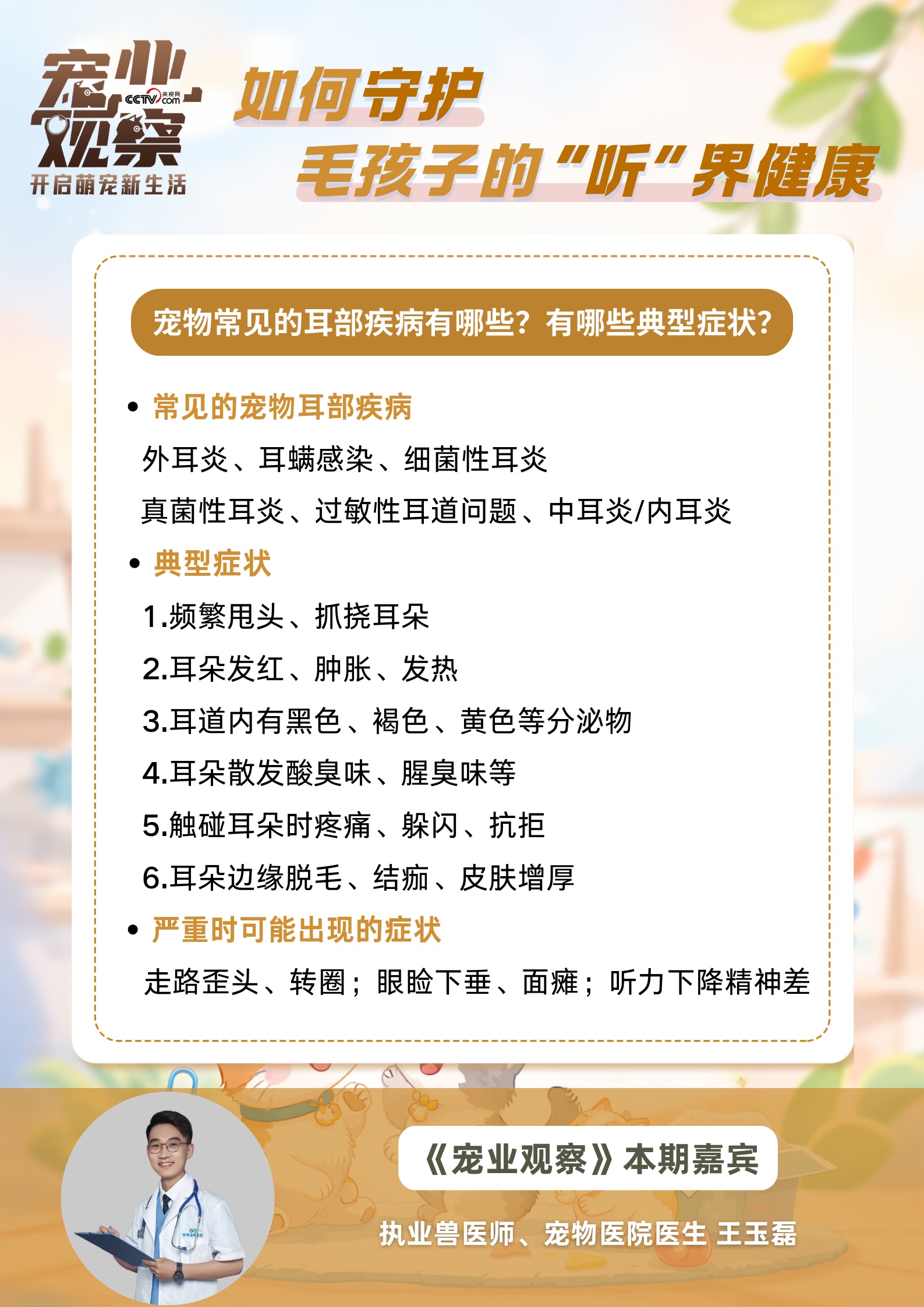 图说|第27个全国爱耳日:如何守护毛孩子的 “听” 界健康 图说|第27个全国爱耳日:如何守护毛孩子的 “听” 界健康