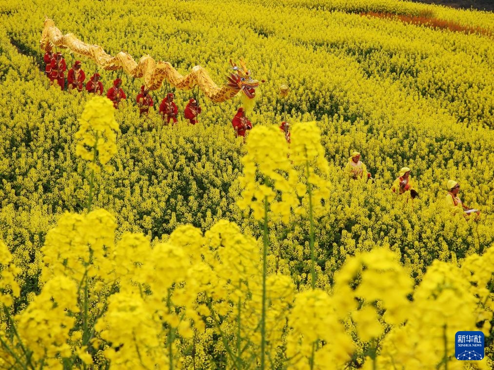 花开万里 共赴春光