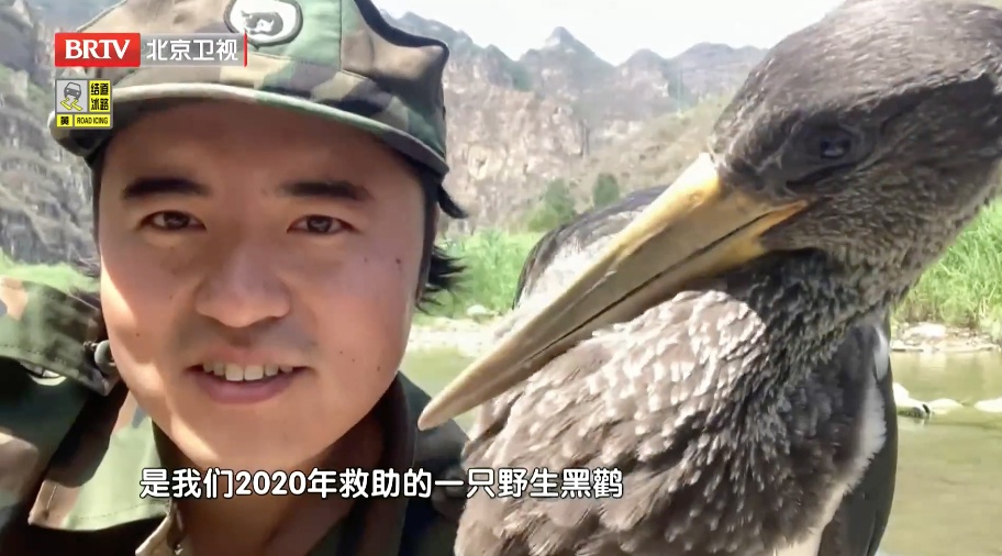 喜讯!北京房山一“小伙”相亲成功,预计今年4月当爹 喜讯!北京房山一“小伙”相亲成功,预计今年4月当爹