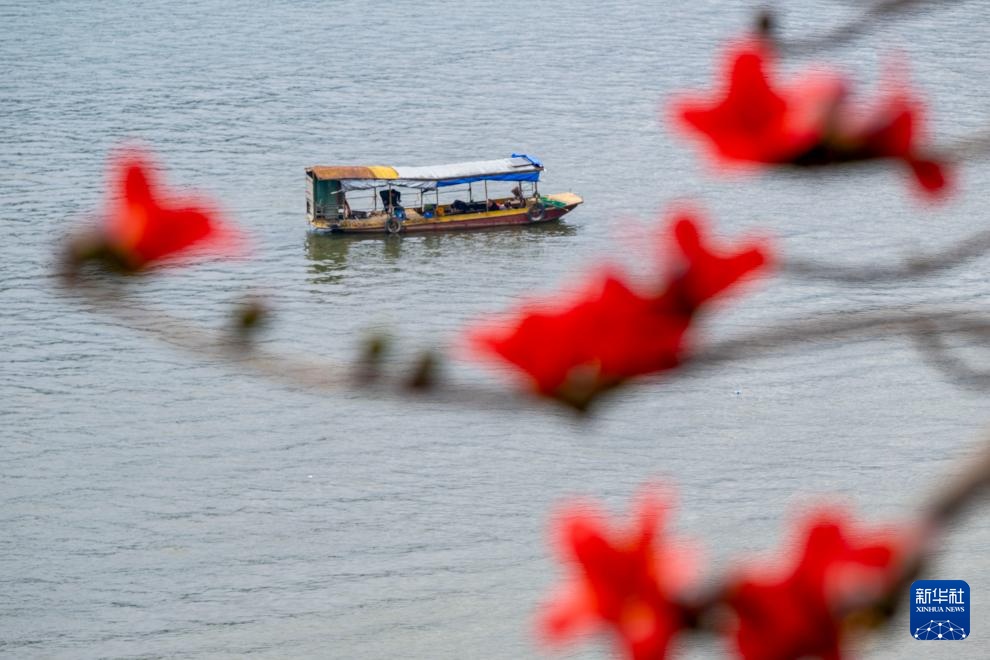 花开万里 共赴春光