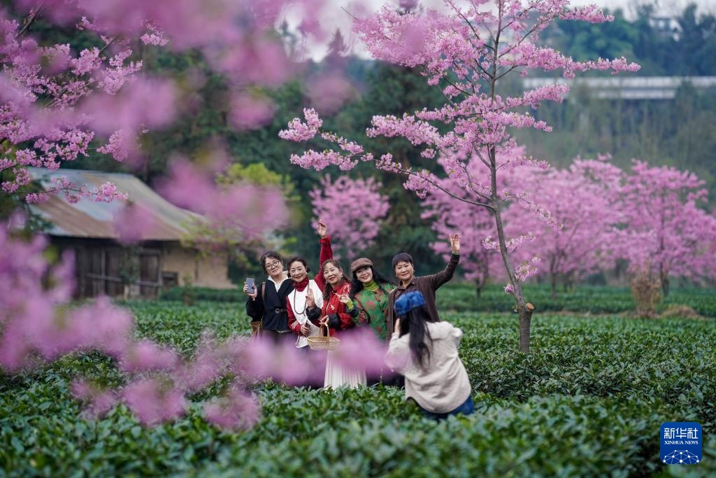 花开万里 共赴春光