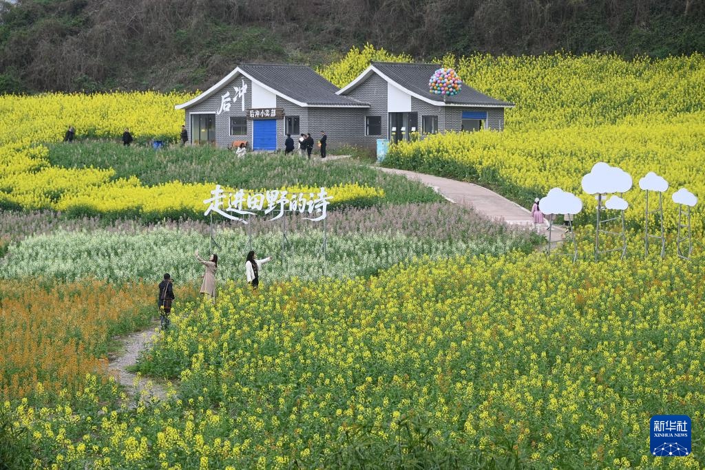 花开万里 共赴春光