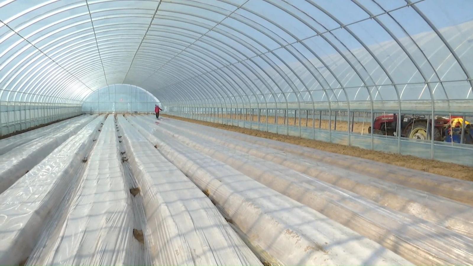 甘肃白银:春回大地 春耕备耕正当时 甘肃白银:春回大地 春耕备耕正当时