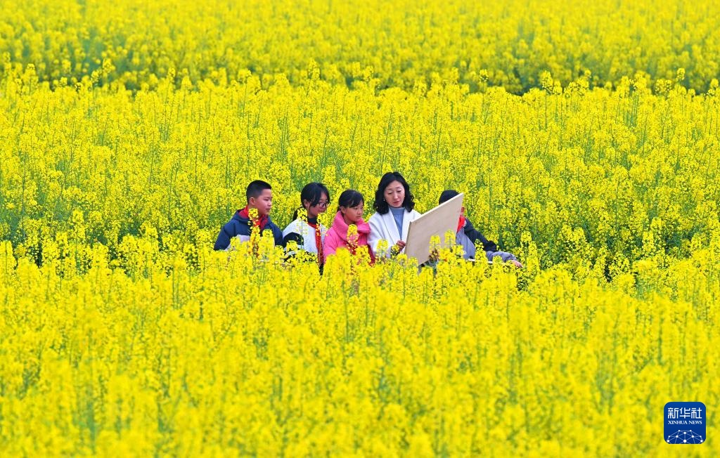 花开万里 共赴春光